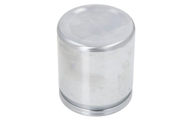 Piston etrier AUTOFREN SEINSA D0-25283 păreri