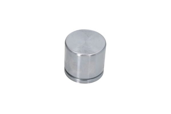Piston etrier AUTOFREN SEINSA D0-25452 păreri