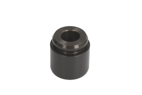 Piston etrier AUTOFREN SEINSA D0-25366 păreri