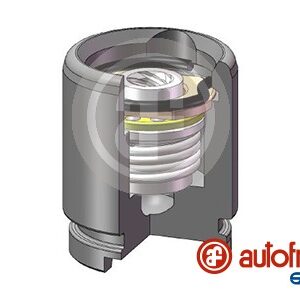 Piston etrier AUTOFREN SEINSA D0-25258K