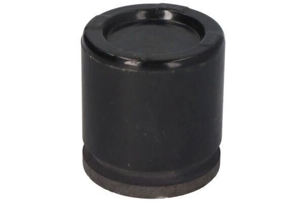 Piston etrier BBP 7833BBP ZAM păreri