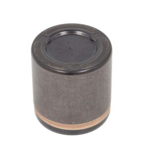 Piston etrier BBP 7956BBP