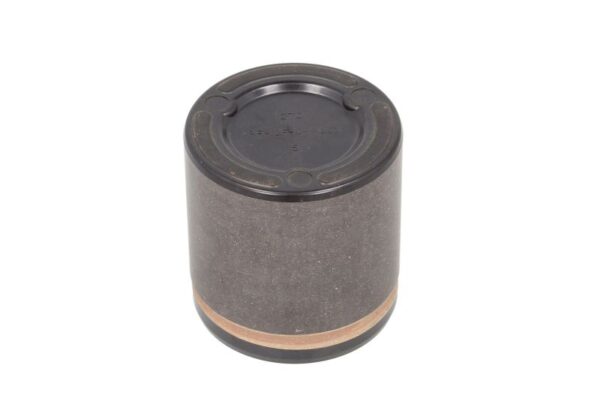 Piston etrier BBP 7956BBP păreri