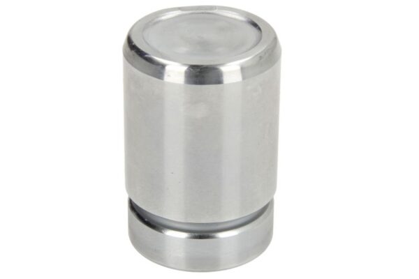Piston etrier CQ CQ71334908 păreri
