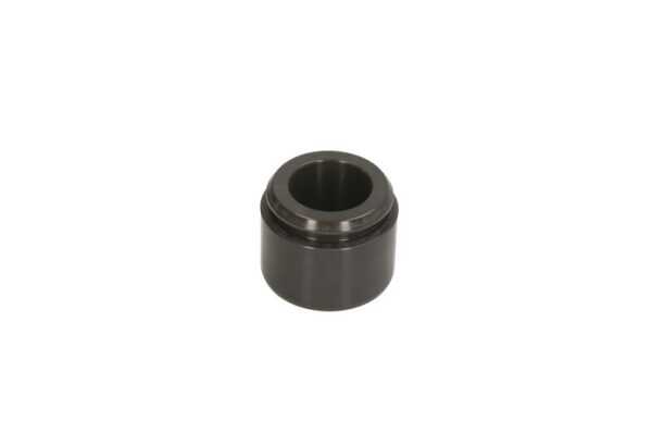 Piston etrier AUTOFREN SEINSA D0-25616 păreri