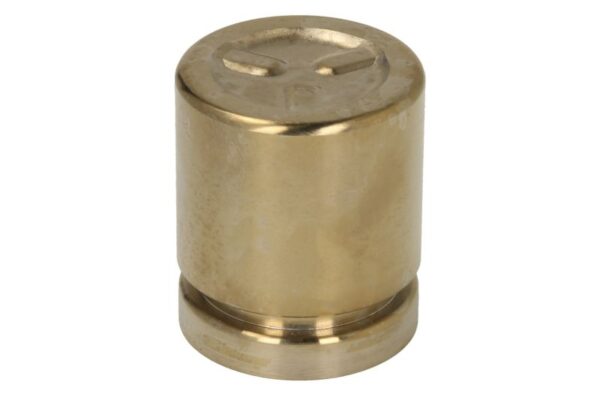 Piston etrier TOURMAX BCP-129 păreri