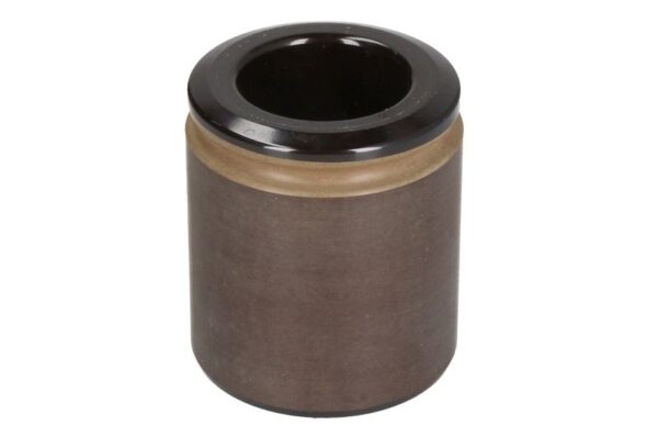 Piston etrier BBP 7950BBP păreri