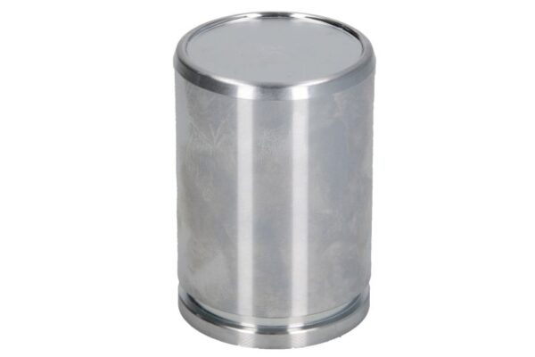 Piston etrier CQ CQ71446312 păreri