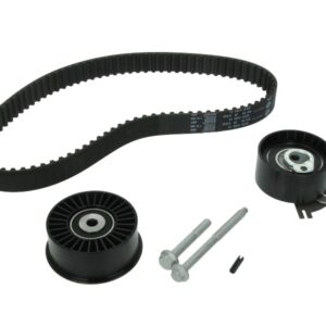 Set curea de distribuție INA 530 0198 10