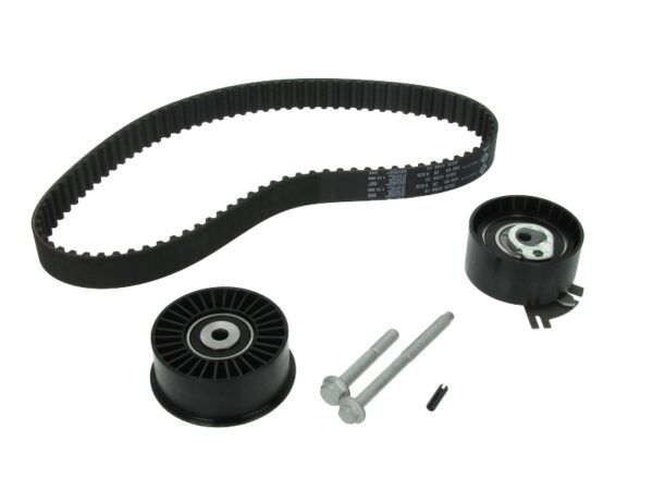 Set curea de distributie INA 530 0198 10 păreri