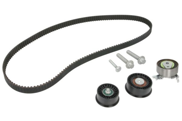 Set curea de distributie INA 530 0441 10 păreri