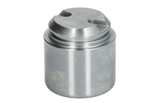 Piston etrier AUTOFREN SEINSA D0-25691 păreri