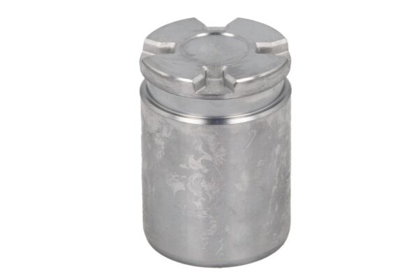 Piston etrier AUTOFREN SEINSA D0-25530 păreri