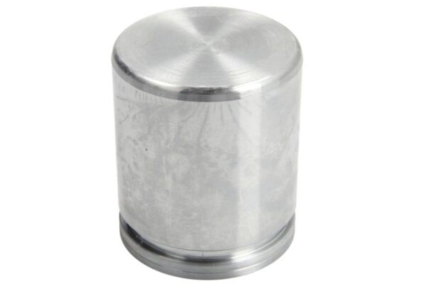 Piston etrier AUTOFREN SEINSA D0-25502 păreri