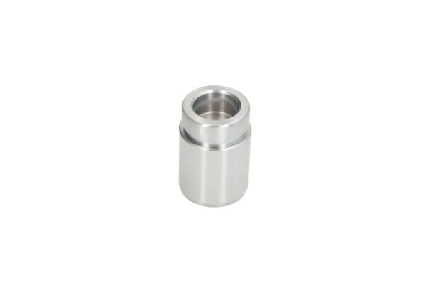 Piston etrier AUTOFREN SEINSA D0-25652 păreri