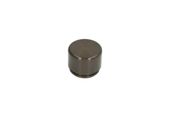 Piston etrier AUTOFREN SEINSA D0-25607 păreri