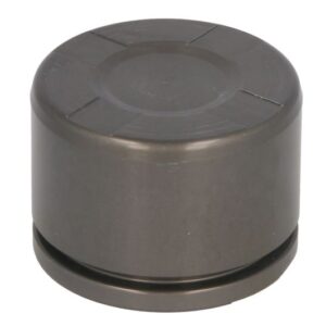 Piston etrier AUTOFREN SEINSA D0-25662