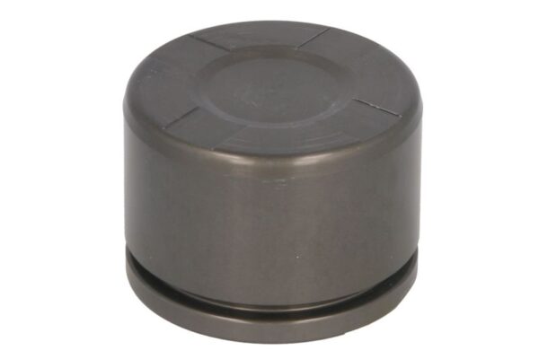 Piston etrier AUTOFREN SEINSA D0-25662 păreri