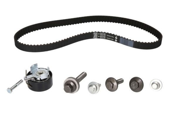 Set curea de distributie INA 530 0495 10 păreri