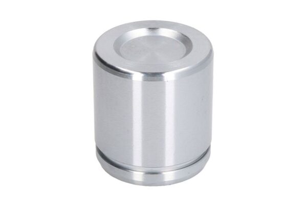 Piston etrier AUTOFREN SEINSA D0-25464 păreri