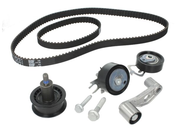Set curea de distributie INA 530 0089 10 păreri