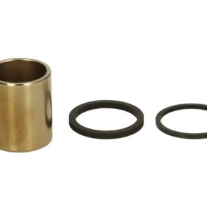 Piston etrier TOURMAX CPK-101