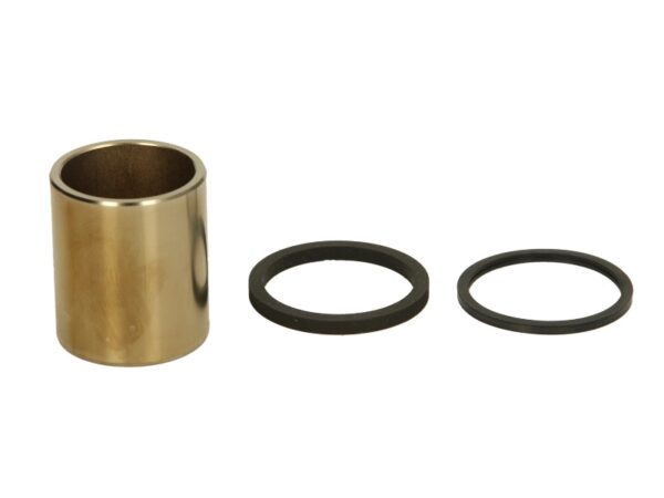 Piston etrier TOURMAX CPK-101 păreri