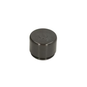 Piston etrier AUTOFREN SEINSA D0-25616