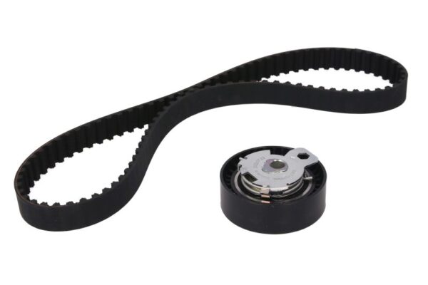 Set curea de distributie INA 530 0142 10 păreri