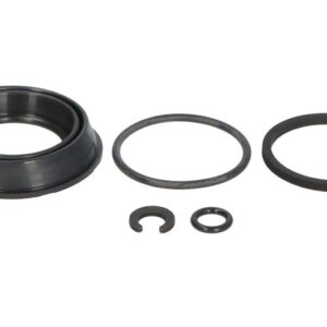 Kit reparare etrier BBP 15660BBP