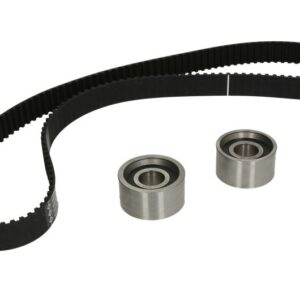Set curea de distribuție INA 530 0117 10