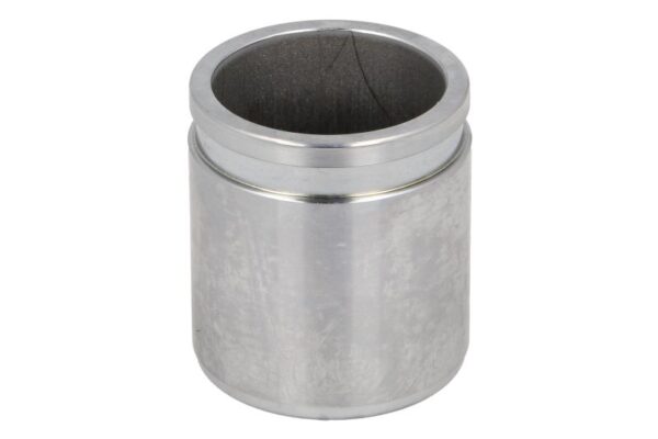 Piston etrier AUTOFREN SEINSA D0-25279 păreri