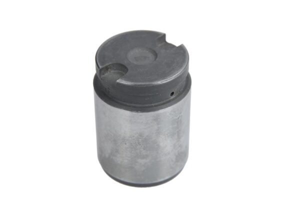 Piston etrier CQ CQ71344711 păreri
