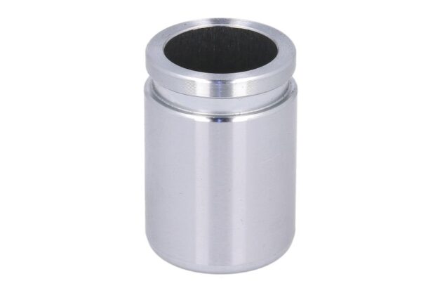 Piston etrier AUTOFREN SEINSA D0-25434 păreri