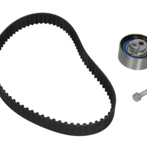 Set curea de distribuție INA 530 0481 10
