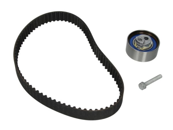 Set curea de distributie INA 530 0481 10 păreri