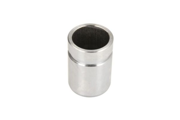 Piston etrier AUTOFREN SEINSA D0-25342 păreri