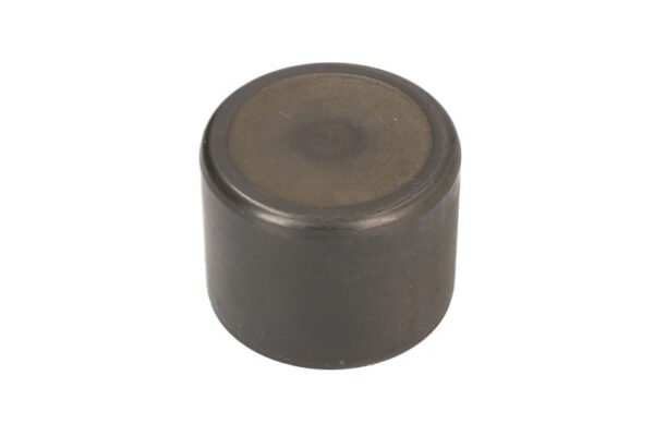 Piston etrier CQ CQ71423280 păreri