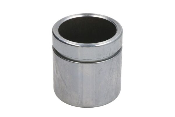 Piston etrier AUTOFREN SEINSA D0-25242 păreri