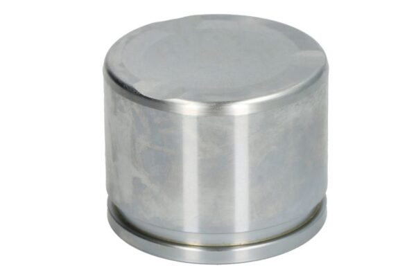 Piston etrier AUTOFREN SEINSA D0-25944 păreri