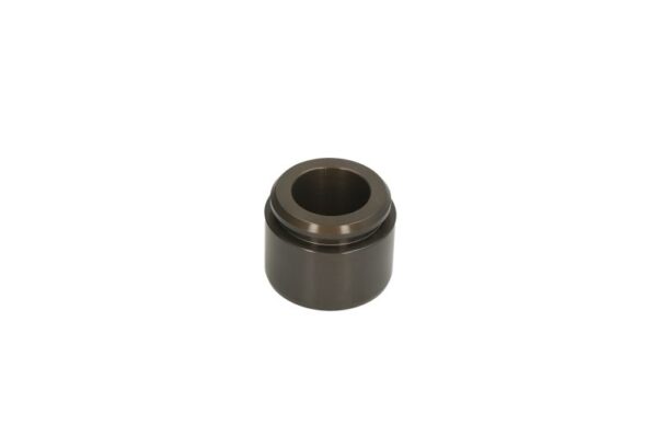 Piston etrier AUTOFREN SEINSA D0-25607 păreri