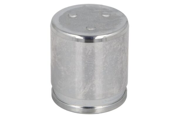 Piston etrier AUTOFREN SEINSA D0-25279 păreri