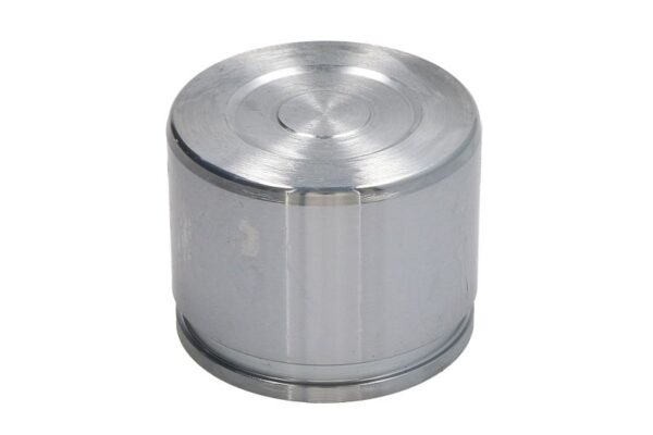 Piston etrier AUTOFREN SEINSA D0-25429 păreri