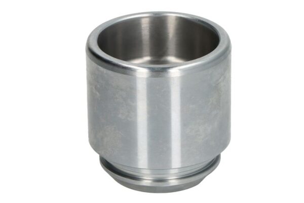 Piston etrier AUTOFREN SEINSA D0-25691 păreri