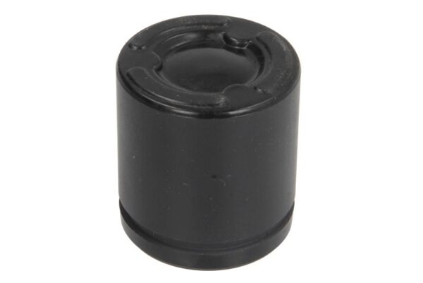 Piston etrier BBP 7984BBP ZAM păreri