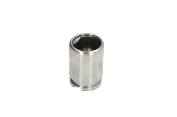 Piston etrier AUTOFREN SEINSA D0-25602 păreri