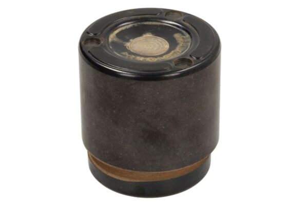 Piston etrier BBP 7990BBP păreri