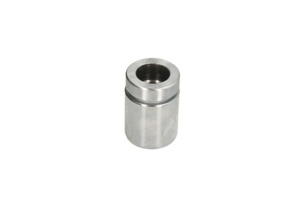 Piston etrier AUTOFREN SEINSA D0-25648 păreri