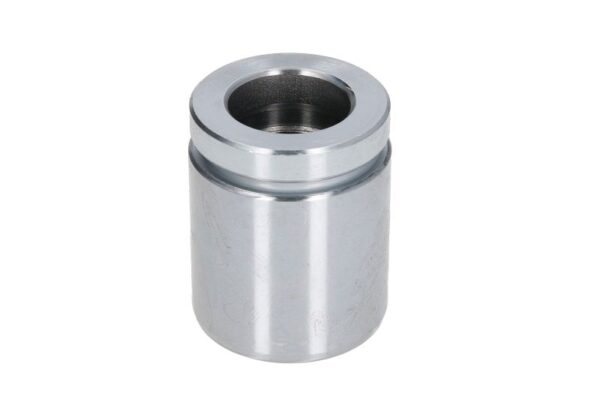 Piston etrier AUTOFREN SEINSA D0-25552 păreri