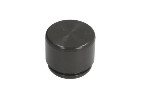 Piston etrier AUTOFREN SEINSA D0-25368 păreri